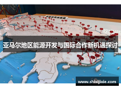 亚马尔地区能源开发与国际合作新机遇探讨