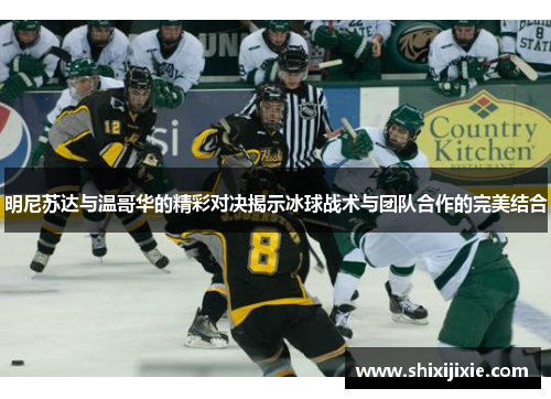 明尼苏达与温哥华的精彩对决揭示冰球战术与团队合作的完美结合